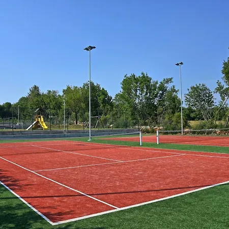 Elena U Ladicima For 8 People With Private Pool & Sports Complex In Istria Ladici