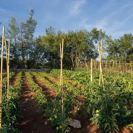 Elena U Ladicima For 8 People With Private Pool & Sports Complex In Istria Villa Ladici